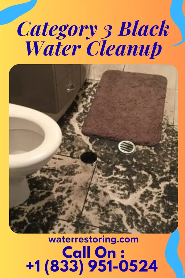Category 3 Black Water Cleanup in Vadnais Heights, MN